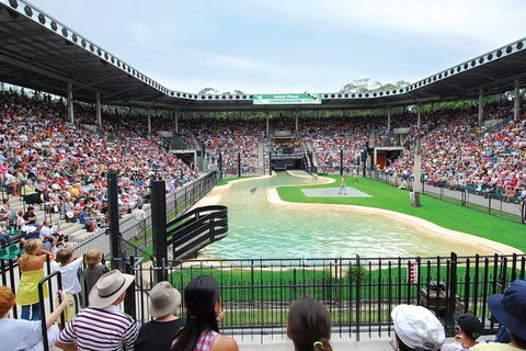 Croc Express To Australia Zoo From Gold Coast - Rental Cars 2