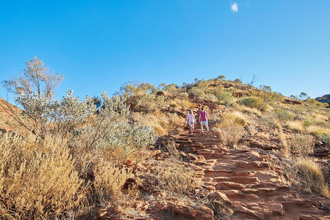 Kings Canyon Guided Rim Walk - Rental Cars 1
