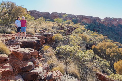 Kings Canyon Day Trip From Ayers Rock (Uluru) - Rental Cars 1