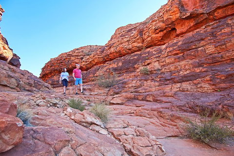 Kings Canyon Day Trip From Ayers Rock (Uluru) - Rental Cars 2