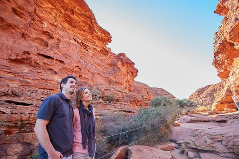 Kings Canyon Day Trip From Ayers Rock (Uluru) - Rental Cars 3