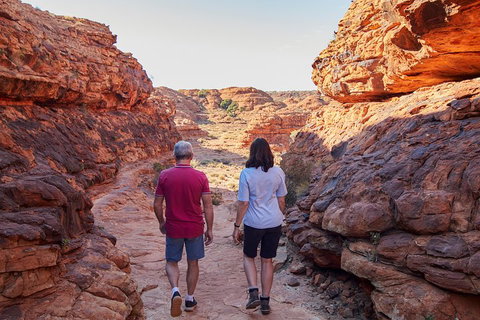 Kings Canyon Day Trip From Ayers Rock (Uluru) - Rental Cars 5