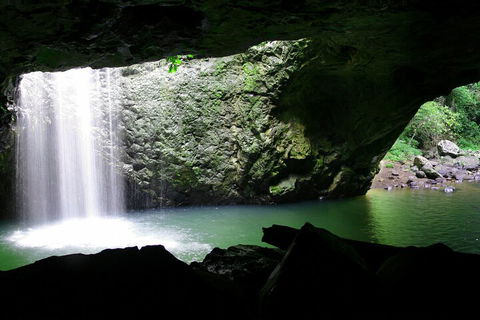Natural Bridge & Springbrook Waterfalls Tour + Hot Air Balloon With Breakfast - Rental Cars 2