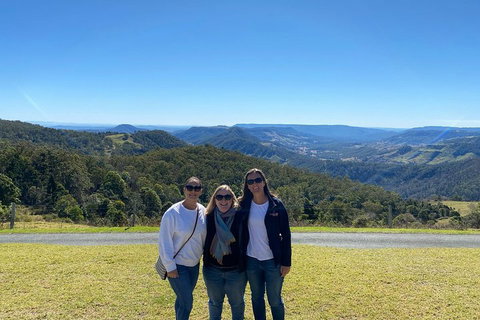 Lamington National Park, O'Reilly's & Vineyard Tour - Rental Cars 3