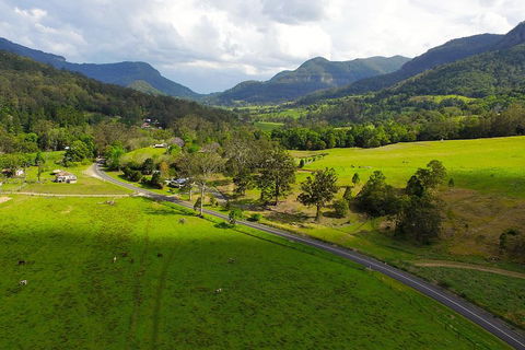Natural Bridge & Springbrook Waterfalls Tour - Rental Cars 2