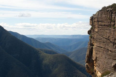 Inside The Greater Blue Mountains World Heritage - A Private Wildlife Safari Overnight - Rental Cars 4