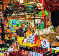 Kuranda Scenic Railway Day Trip from Cairns - Rental Cars