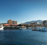 Hobart City Sightseeing Tour including MONA Admission - Rental Cars