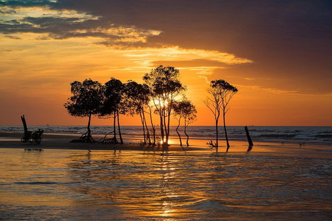 Delightful Darwin Self-Guided Audio Tour - Rental Cars 3