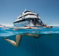 3 Day Great Barrier Reef Daintree Rainforest and Outback Chillagoe Tour - Rental Cars