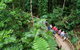 2 Day Daintree Rainforest, Cape Tribulation And Outback Chillagoe Tour - thumb 3