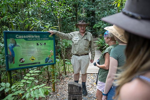 2 Day Daintree Rainforest, Cape Tribulation And Outback Chillagoe Tour - Rental Cars 5