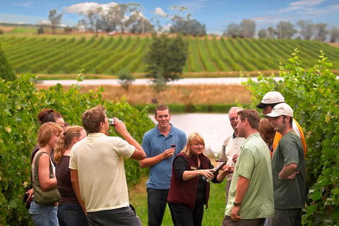Yarra Valley Balloon Flight And Winery Tour - Rental Cars 4