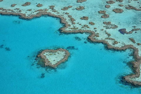 Reef And Island Scenic Flight From Airlie Beach - Rental Cars 5