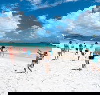 Whitehaven Beach and Hamilton Island Cruise - Rental Cars