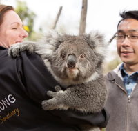 Bonorong Wildlife Park and Richmond Afternoon Tour from Hobart - Rental Cars