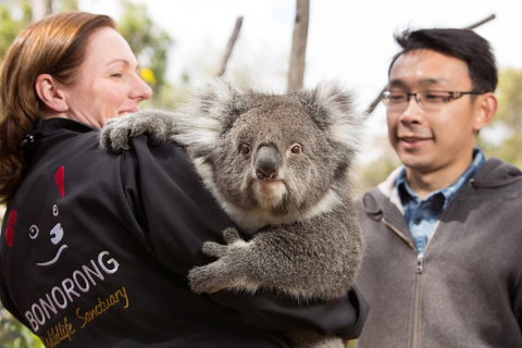 Bonorong Wildlife Park And Richmond Afternoon Tour From Hobart - Rental Cars 0