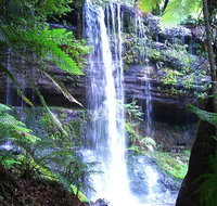 Mt Field National Park and Russell Falls from Hobart - Rental Cars