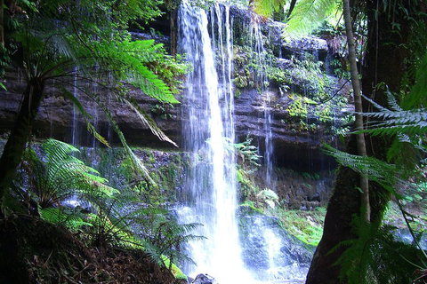 Mt Field National Park And Russell Falls From Hobart - Rental Cars 0