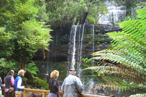 Mt Field National Park And Russell Falls From Hobart - Rental Cars 1