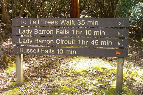Mt Field National Park And Russell Falls From Hobart - Rental Cars 2