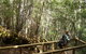 Mt Field National Park And Russell Falls From Hobart - thumb 4