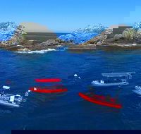 3-Hour Byron Bay Certified Scuba Diving Tour - Rental Cars