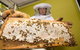 The Ginger Factory Play, Taste & Discover Bundle Admission Ticket - thumb 2