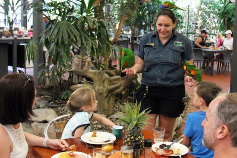 Wildlife Habitat Port Douglas - Rental Cars 2