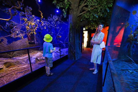 Wildlife Habitat Port Douglas - Rental Cars 4