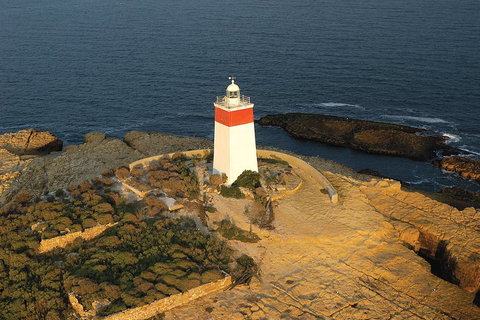 Hobart Sightseeing Cruise Including Iron Pot Lighthouse - Rental Cars 1