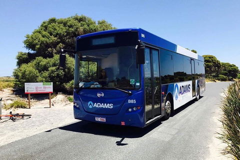 Rottnest Bayseeker Bus Tour From Hillarys Boat Harbour - Rental Cars 0