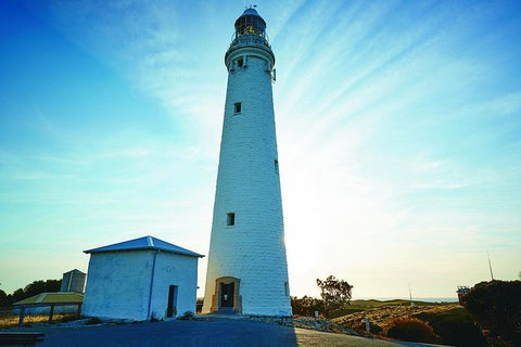 Rottnest Bayseeker Bus Tour From Hillarys Boat Harbour - Rental Cars 2