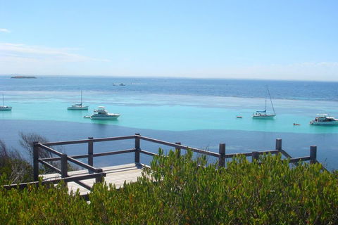 Rottnest Bayseeker Bus Tour From Hillarys Boat Harbour - Rental Cars 3