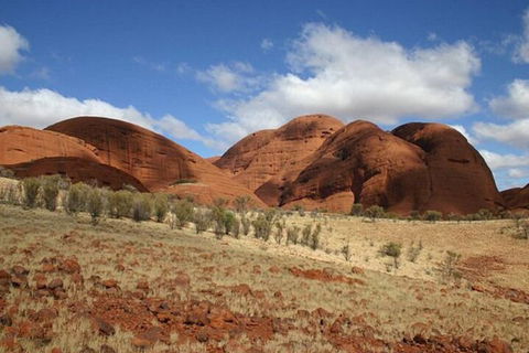 3-Day Uluru-Kata Tjuta And Kings Canyon 4WD Small-Group Eco-Tour From Alice Springs - Rental Cars 2