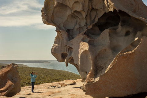 Kangaroo Island In A Day Tour From Adelaide - Rental Cars 5