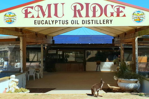 2 Day Ultimate Kangaroo Island With Return Ferry - Rental Cars 3
