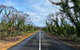 2 Day Ultimate Kangaroo Island With Return Ferry - thumb 4