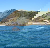 Kayaking with Dolphins in Byron Bay Guided Tour - Rental Cars