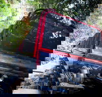 Blue Mountains Hop-on Hop-off Tour with Optional Scenic World Rides - Rental Cars