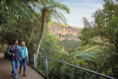 Blue Mountains Hop-on Hop-off Tour With Optional Scenic World Rides - Rental Cars 3