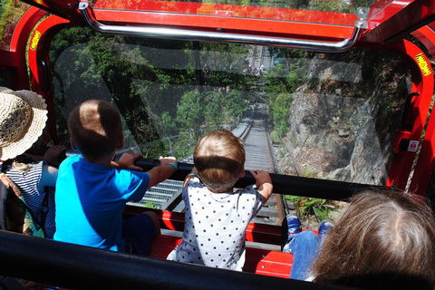 Blue Mountains Hop-on Hop-off Tour With Optional Scenic World Rides - Rental Cars 4