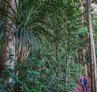 Atherton Tablelands Rain Forest by Night from Cairns - Rental Cars