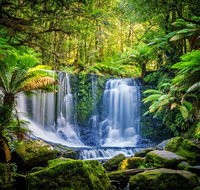 Day Tour in Mt. Field Mt. Wellington Bonorong Wildlife Sanctuary and Richmond - Rental Cars