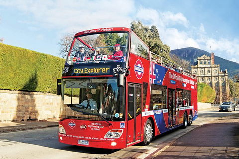 Hobart Hop-On Hop-Off Bus & Kunanyi/Mt Wellington Tour - Rental Cars 4