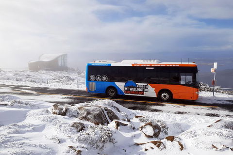 Hobart Hop-On Hop-Off Bus & Kunanyi/Mt Wellington Tour - Rental Cars 5