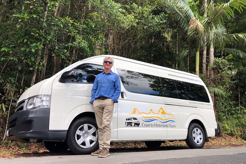 Sunshine Coast Hinterland Rainforest, Views And Montville Day Tour Inc. Lunch - Rental Cars 1
