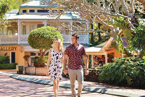 Sunshine Coast Hinterland Rainforest, Views And Montville Day Tour Inc. Lunch - Rental Cars 4