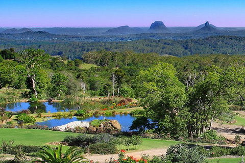 Sunshine Coast Hinterland Rainforest, Views And Montville Day Tour Inc. Lunch - Rental Cars 5