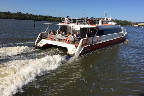 PRIVATE All-Day Blue Mountains Tour With Professional Guide For Up To 4 People - Rental Cars 0
